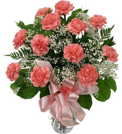 12 Peach Carnations Vase product1101