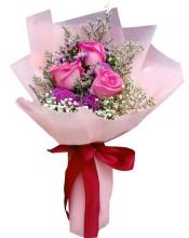 Rose Delight